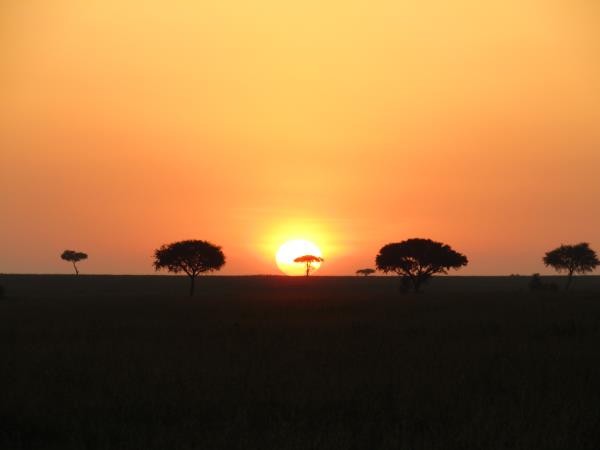 Tanzania vacation with Serengeti walking safari 