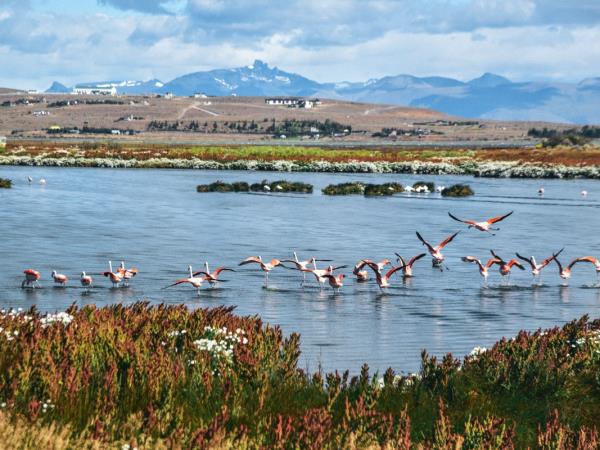 Active vacation in Patagonia, Argentina