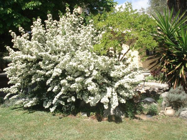 Corfu self catering cottages, Greece