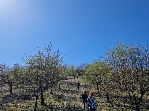 Spain hiking vacation, Walking in blossom