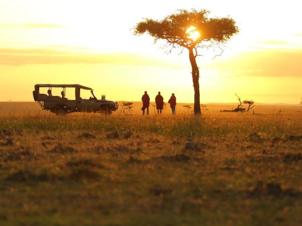 Kenya birding and wildlife vacation