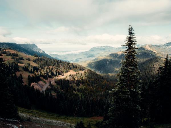 Best of Washington vacation, USA