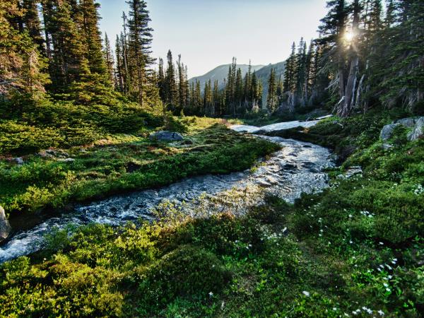 Best of Washington vacation, USA