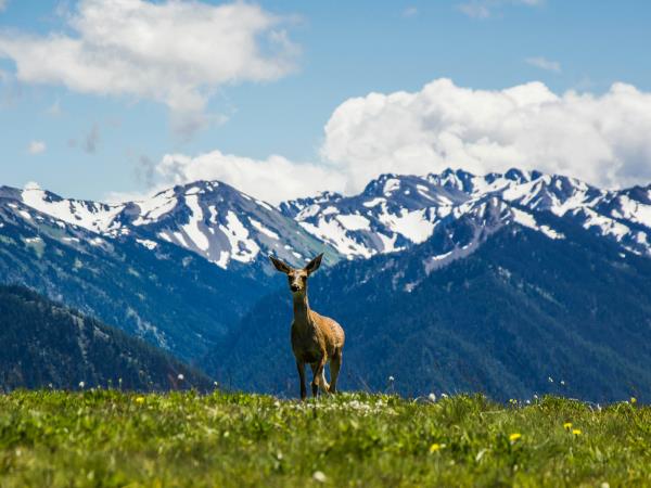Best of Washington vacation, USA