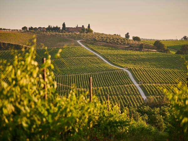 Tuscany cycling vacation, self guided