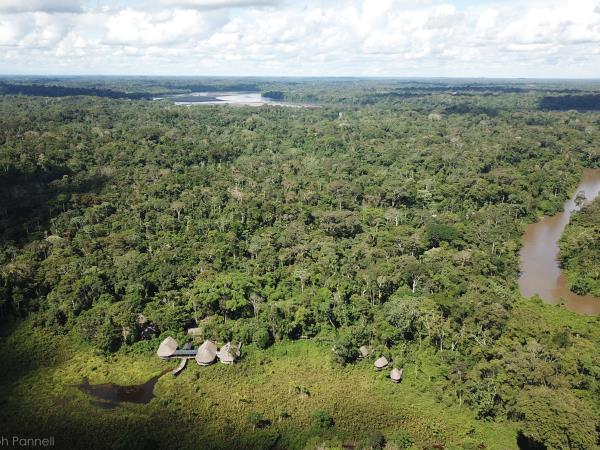 Amazon and Andes wildlife expedition in Ecuador