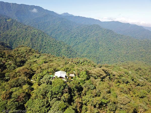 Amazon and Andes wildlife expedition in Ecuador