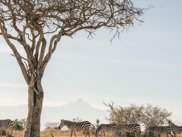 Kenya family safari and beach vacation