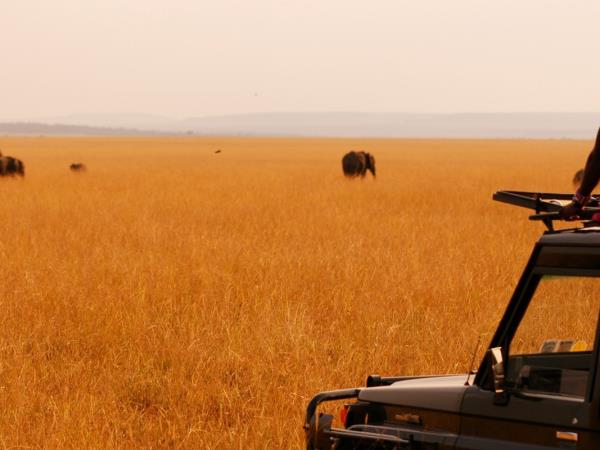 Kenya family safari and beach vacation