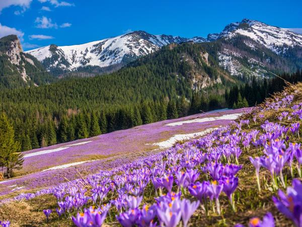 Tatra Mountains walking vacation, self guided