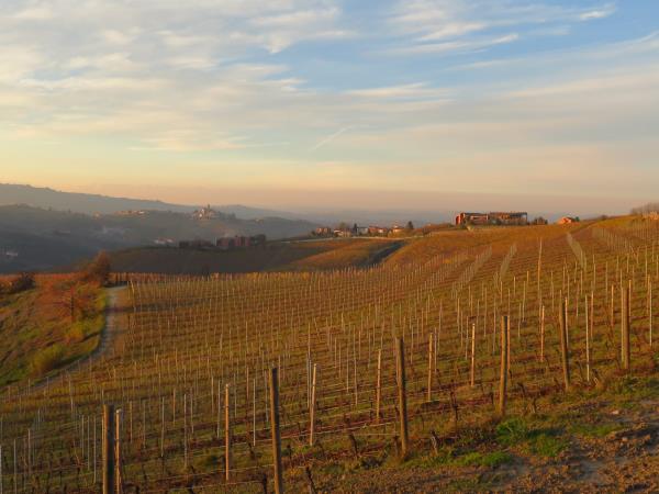 Piedmont vacation in Italy, food, wine & culture