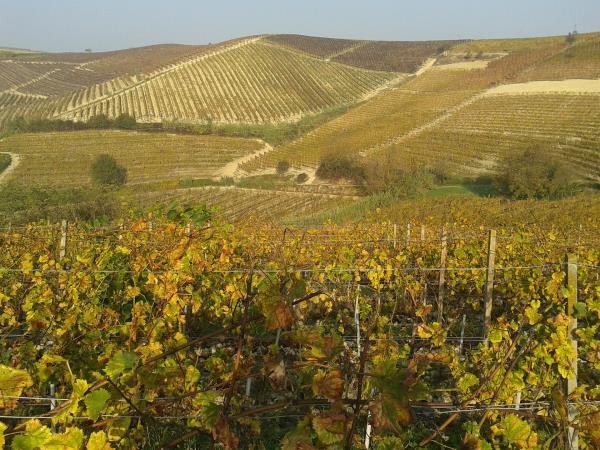 Piedmont vacation in Italy, food, wine & culture