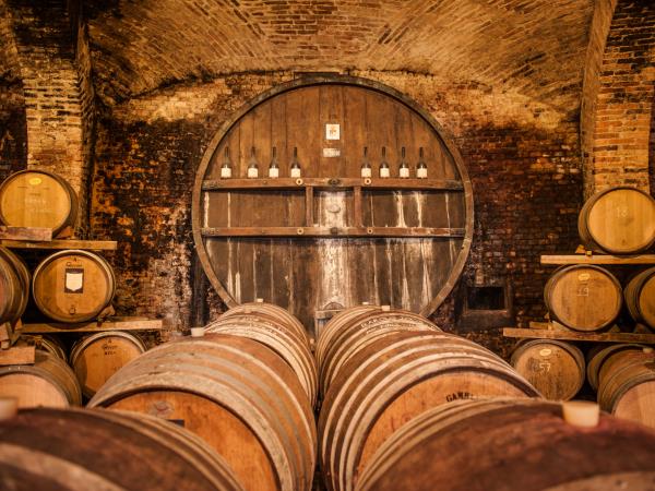 Piedmont vacation in Italy, food, wine & culture