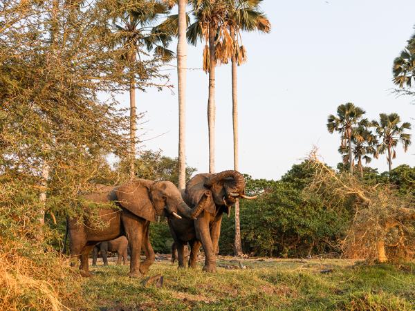 Malawi wildlife and nature tour