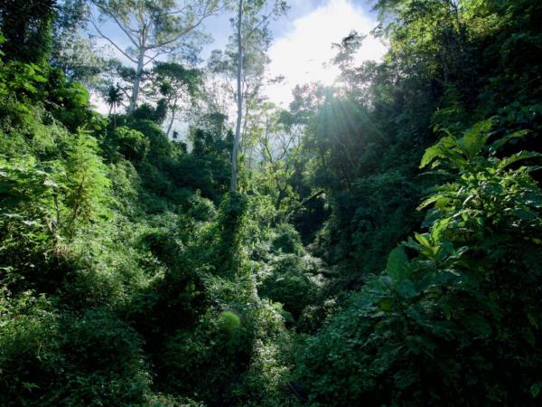 Mount Mulanje trekking and beach vacation, Malawi