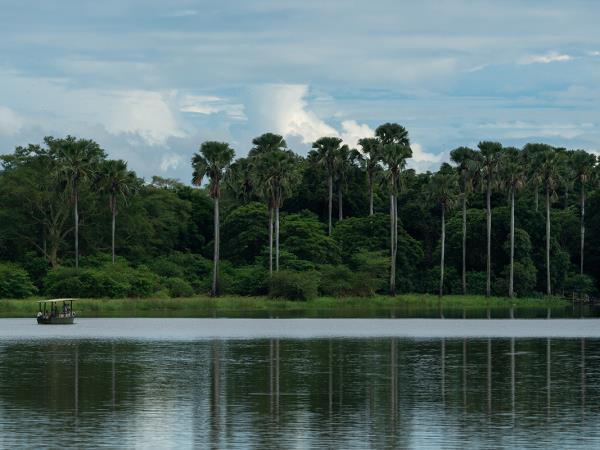 Mount Mulanje trekking and beach vacation, Malawi