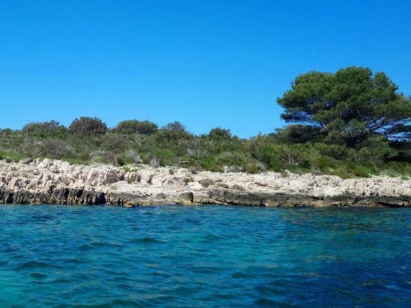 Croatia swimming vacation