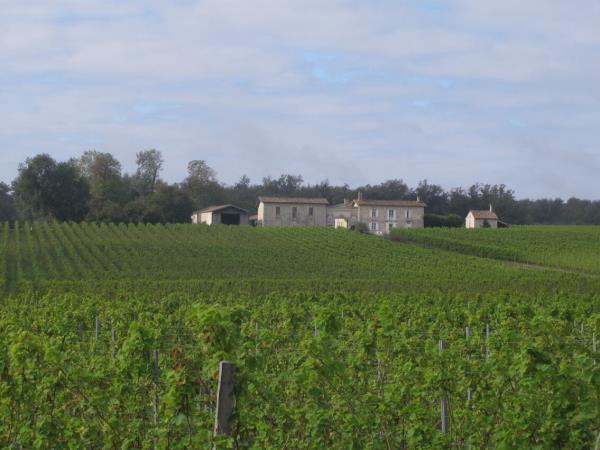 Bordeaux to Toulouse cycling holiday