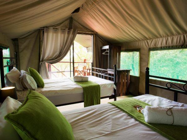 Rhino conservation project, South Africa