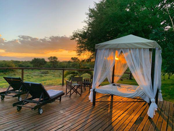 Rhino conservation project, South Africa