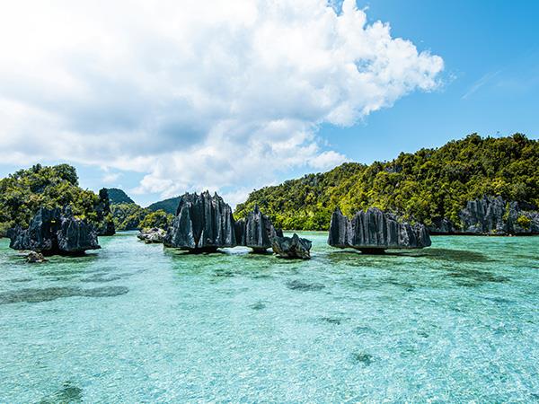 Raja Ampat cruise & Spice Islands