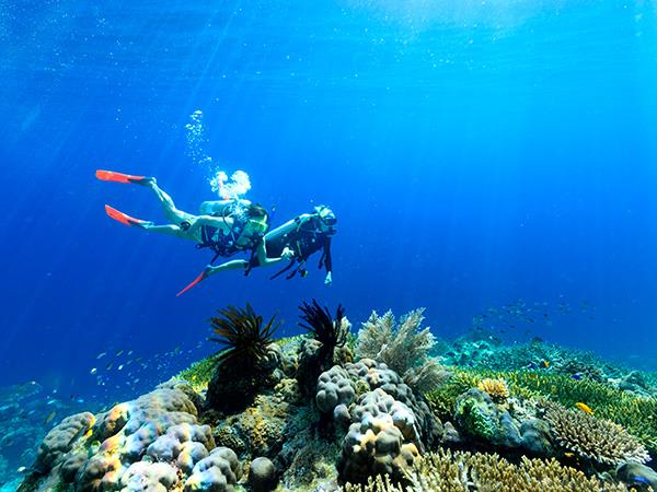Raja Ampat cruise & Spice Islands