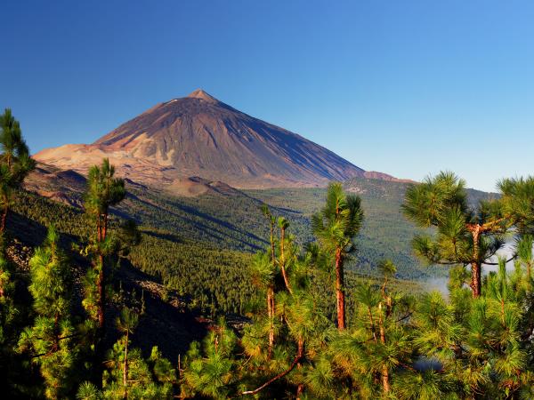 Tenerife walking vacation, 8 days