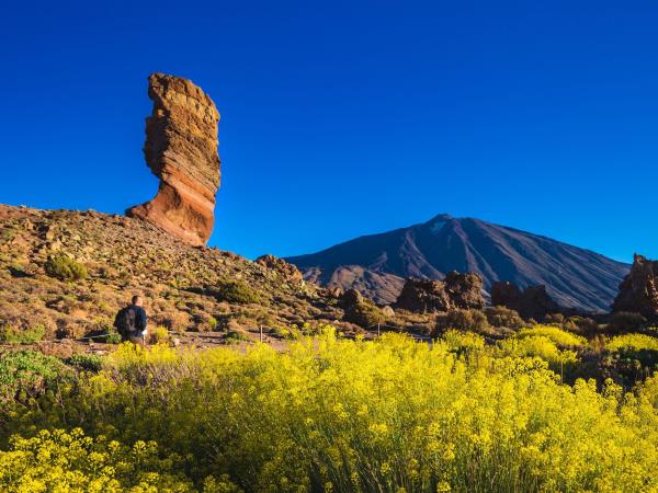 Tenerife walking vacation, 8 days