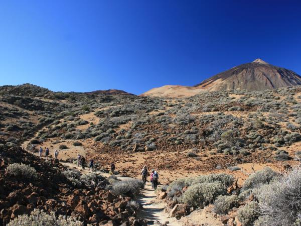 Tenerife walking vacation, 8 days
