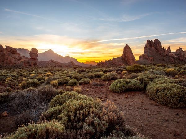 Tenerife walking vacation, 8 days