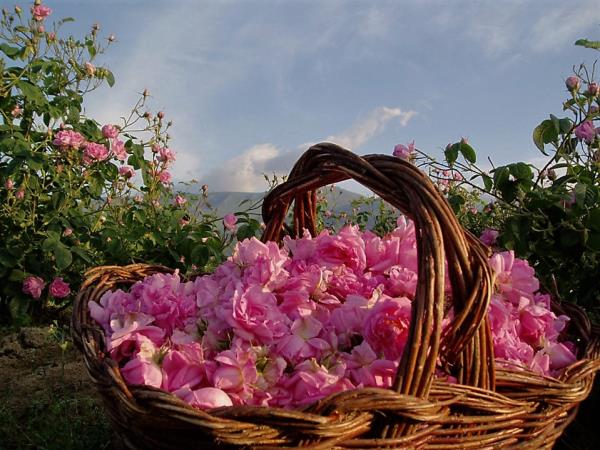 Casablanca to Marrakech tour, Morocco