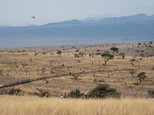 Lewa Safari Marathon, Kenya