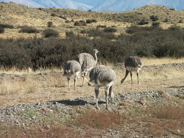 Chilean Fjords small ship cruise, Kaweskar Route
