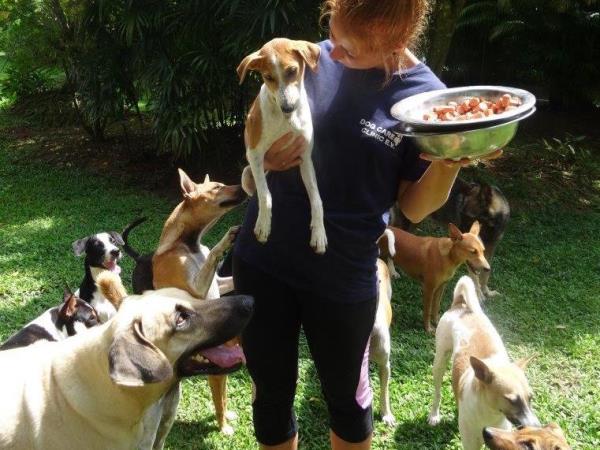 Sri Lanka dog shelter volunteering