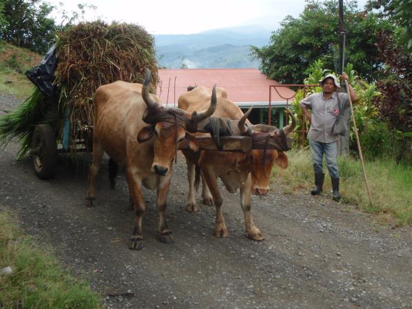Costa Rica coast to coast hike, bike & kayak vacation