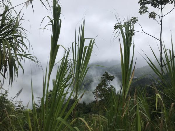 Costa Rica coast to coast hike, bike & kayak vacation