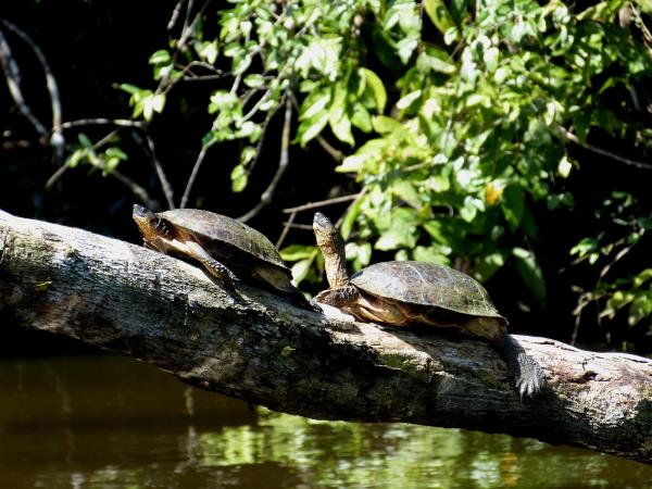 Costa Rica coast to coast hike, bike & kayak vacation