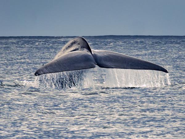 Azores vacation, tailor made