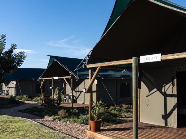 Wildlife conservation, South Africa