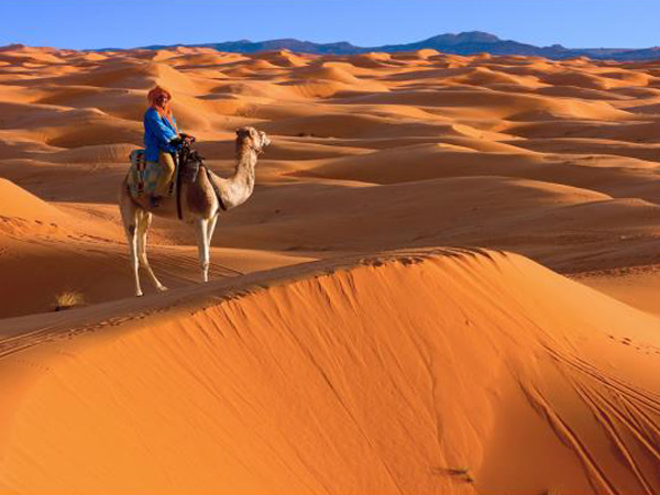 Morocco guided discovery tour from Marrakech