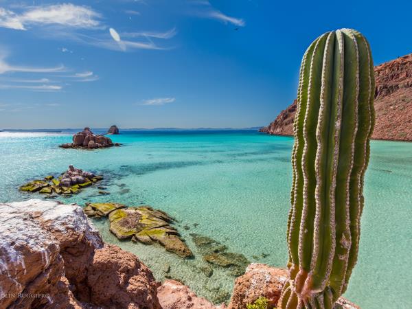 Baja family vacation in Mexico