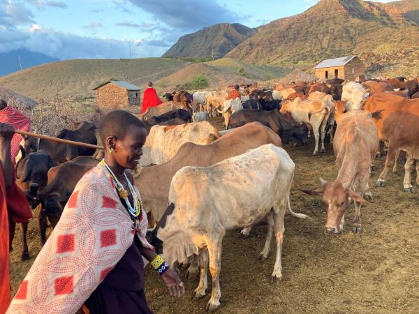Tanzania family camping safari
