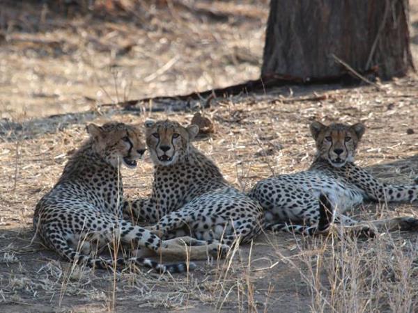 Tanzania family camping safari