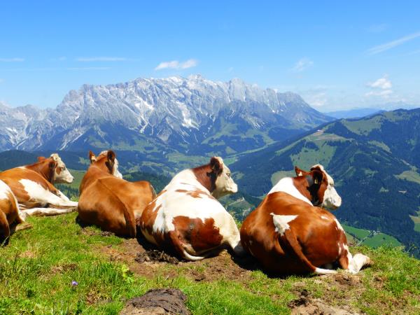 Austria hiking vacation