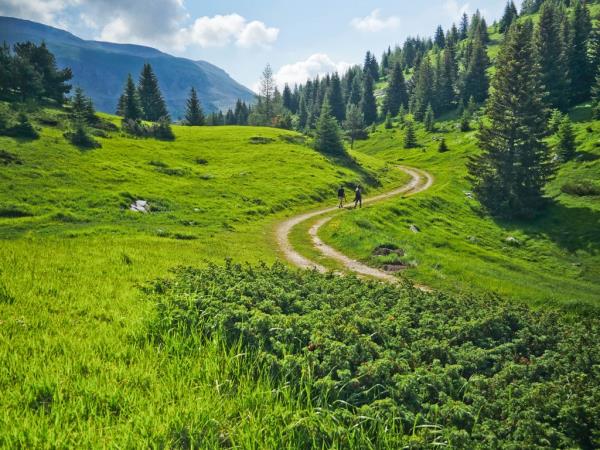 French Alps self guided hiking tours