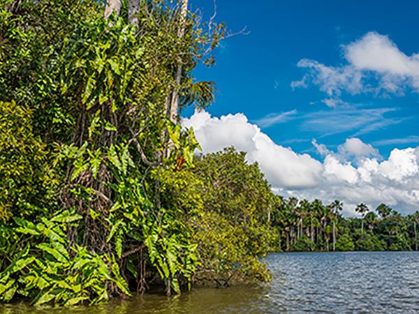 Peru tailor made vacation, Andes to Amazon