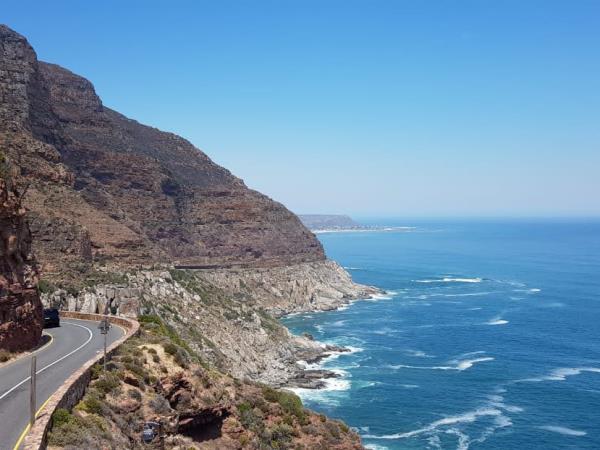 Family marine volunteering, South Africa