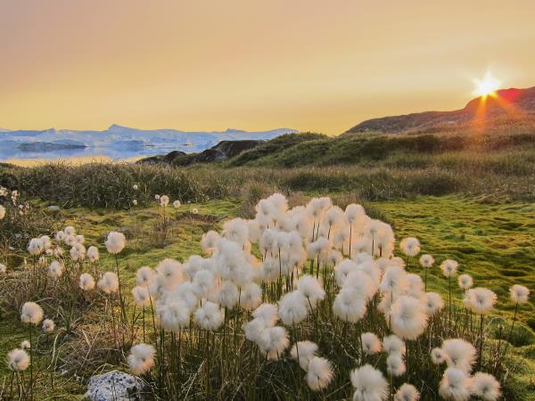 South & West Greenland cruise