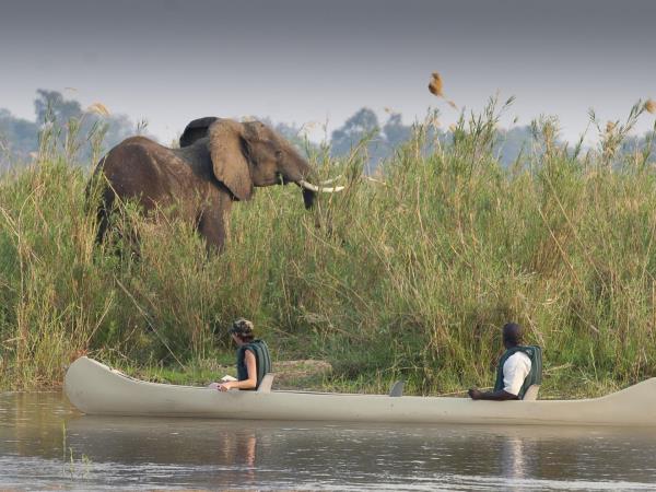 South Luangwa and Lower Zambezi safari, Zambia 