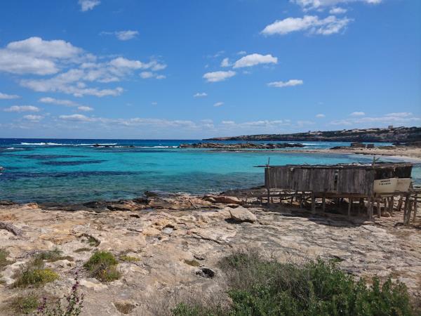 Formentera swimming vacations in Spain for improvers